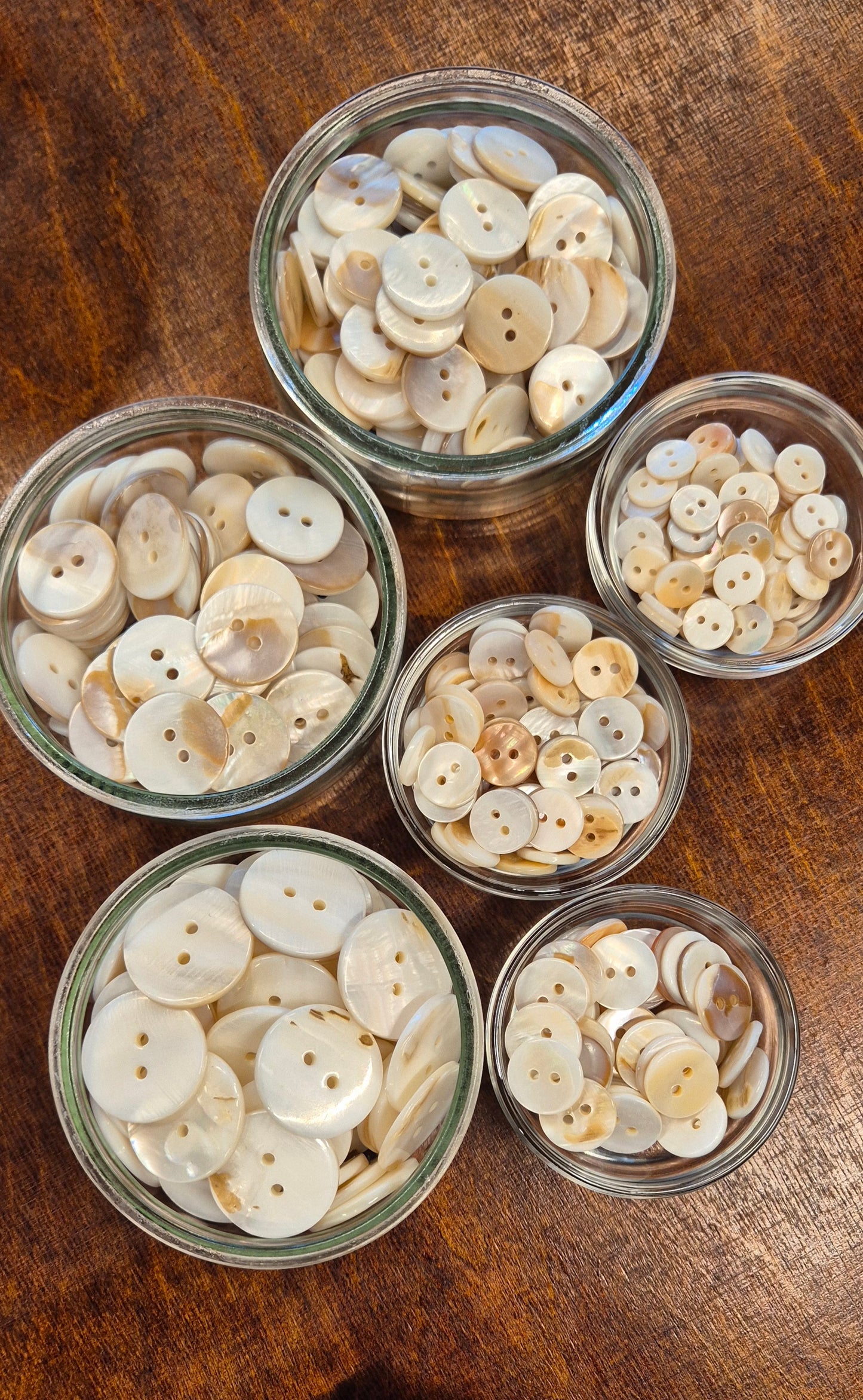 Skeljatölur - hvítar